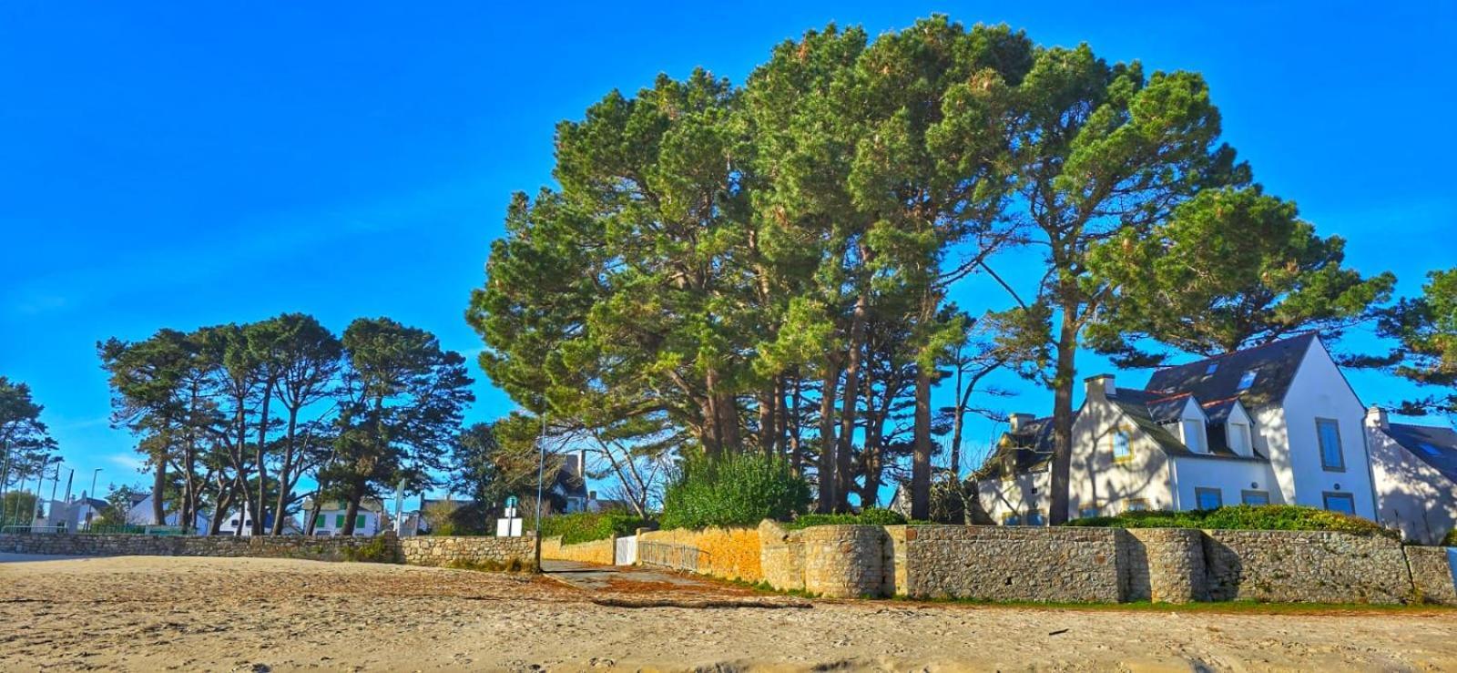 Cocon Neuf - 6 A 8 Pers 3 Chb Proche Plage, Port, Centre Ville Saint-Pierre-Quiberon Kültér fotó